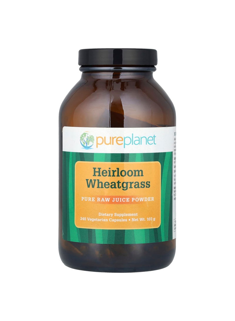 Heirloom Wheatgrass, 240 Vegetarian Capsules